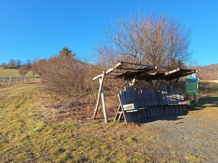 Fotografia z Andrea Roschek na trase