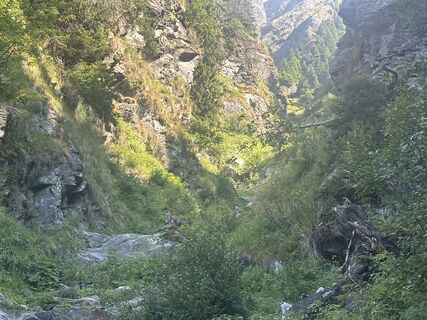 Fotografija s spletne strani Andre Rotter na poti