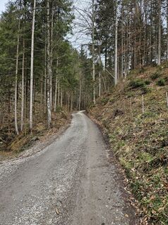 Fotografija s spletne strani Florian Dürnegger na poti