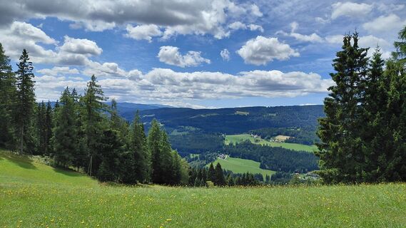 Foto von Wolfgang Arlic 1 entlang der Tour