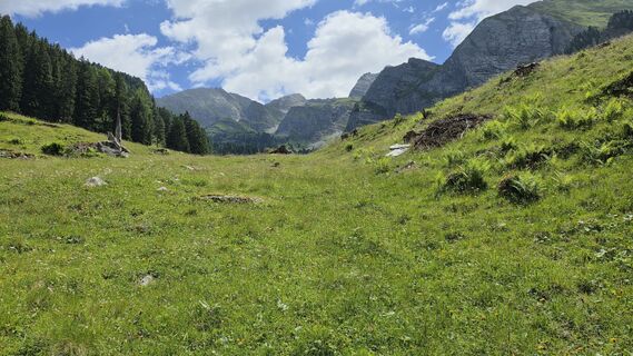 Fotografija s spletne strani Gerrit van der Linde na poti