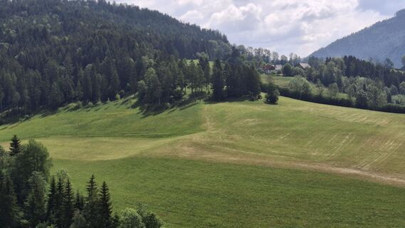 Foto von Monika Wirth entlang der Tour