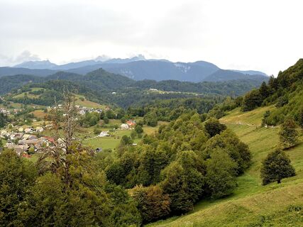 Foto von Yojo entlang der Tour