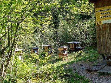 Foto von Dominik Séllei entlang der Tour