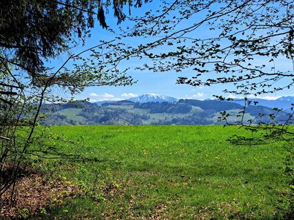 Euratsfeld, Hochkogel, Panorama-Stüberl, Mostviertel, NÖ