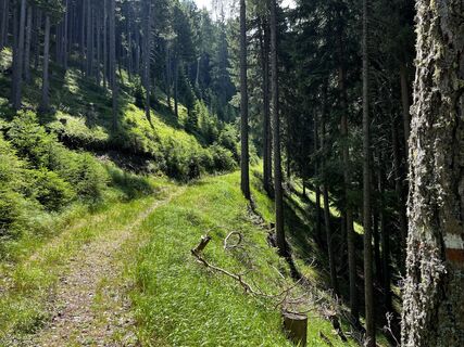 Fotografija s spletne strani Stefano “Iddo” na poti