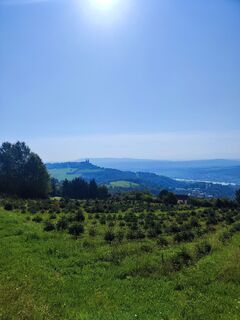 Photo de Martin Schagerl le long du parcours