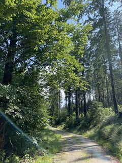 Foto von Andreas Hanek entlang der Tour