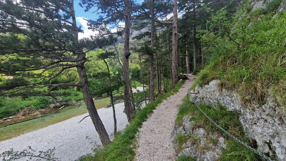 Fotografija s spletne strani EP87 na poti