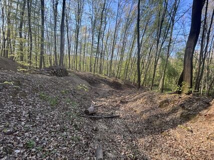 Foto de Reti Alicia a lo largo del recorrido