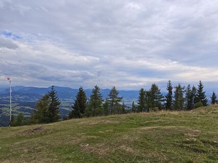 Photo de Oskar Wolfahrt le long du parcours