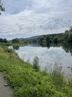 Fotografia z Thomas Weibel na trase