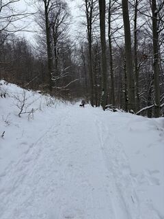 Foto von Orsolya Kecskés entlang der Tour