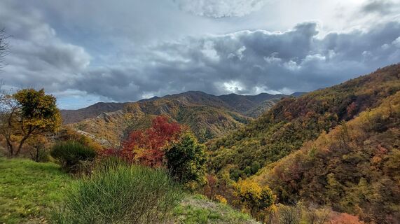 Fotografija s spletne strani Marco pizziolo na poti