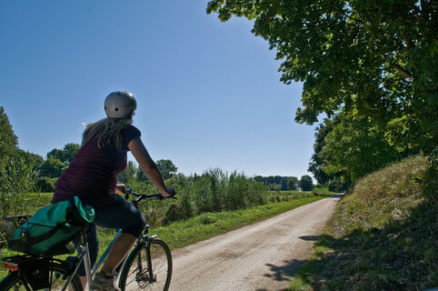 Unterwegs auf dem Bodenseeradweg