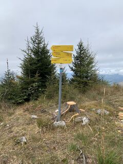 Foto da Matthias Rath lungo il tour