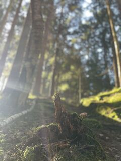 Foto von Edith Pelzl entlang der Tour
