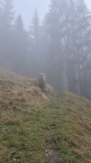 Photo de Nicole Hesse le long du parcours