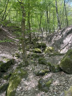 Foto von Hubner Attila entlang der Tour