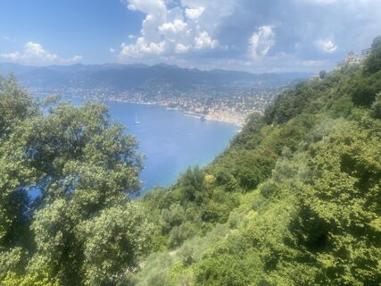 Fotografia z David Amrein na trase