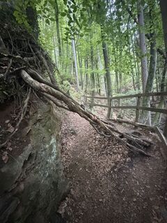 Photo de Nico ?️ le long du parcours