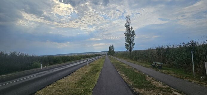 Foto de Lpetra a lo largo del recorrido