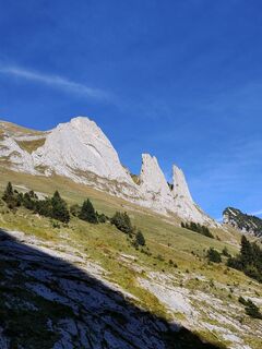 Photo de Thomas Meier le long du parcours
