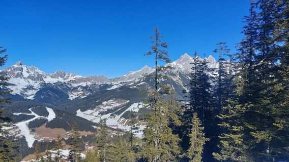 Fotografija s spletne strani Karin Svozil na poti