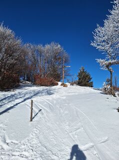 Foto von Christian Punz entlang der Tour