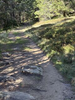 Photo de Reinhard Frewein le long du parcours