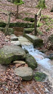 Fotografija s spletne strani outdoor_rue na poti