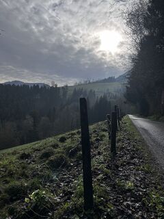 Zdjęcie z Rowena Raubach wzdłuż trasy