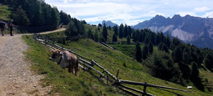 Foto von Jens Brunner entlang der Tour