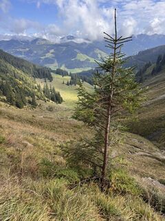 Fotografija s spletne strani Manuela Zeh na poti