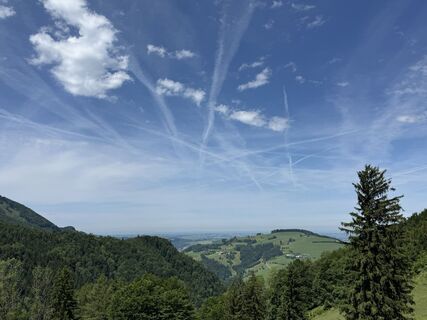 Fotografija s spletne strani Wilson Holz na poti