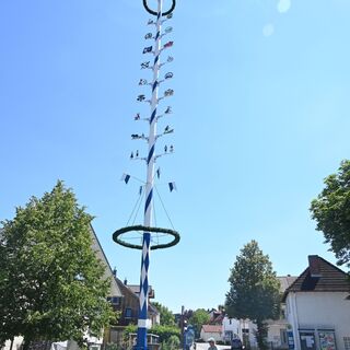 Maibaum in Puchheim-Ort