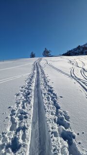 Foto de Fabrizi Mellano a lo largo del recorrido