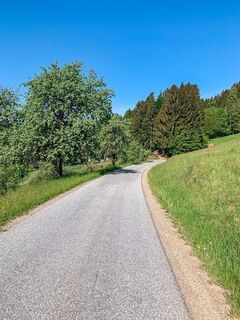um den buchenberg – stairway to heaven_img_49378641