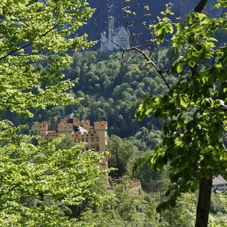 Blick zum Schloss Hohenschwangau