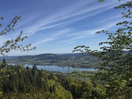 Foto von Friederike Steyrer entlang der Tour