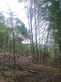 Foto von Sonce.S entlang der Tour