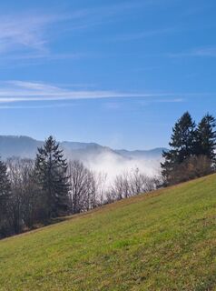 Photo de greinerin le long du parcours