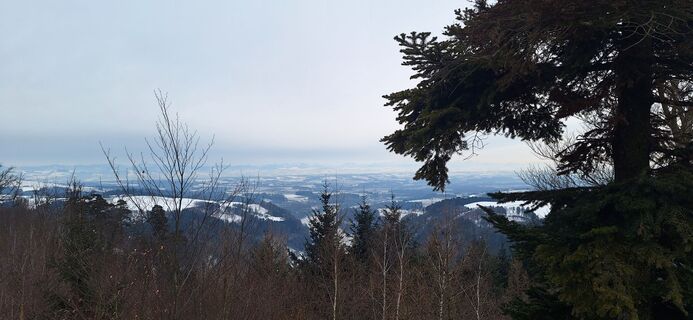 Foto von Ani Ta 3 entlang der Tour