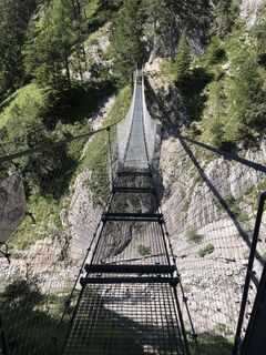 Foto von Heikoala entlang der Tour