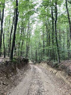 Photo de Hajni Obernyik le long du parcours