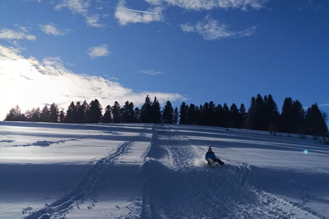 Todtmoos Rodelwanderung mit Hochkopfblick 5