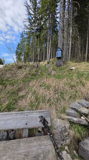 Photo de Moni le long du parcours