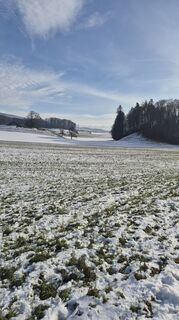 Photo de a.kaufmann le long du parcours