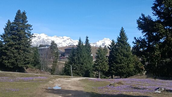 Foto von Davor Puklin entlang der Tour