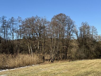 Foto de Norbert Herbig a lo largo del recorrido